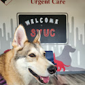 Southhwest Veterinary Urgent Care Review